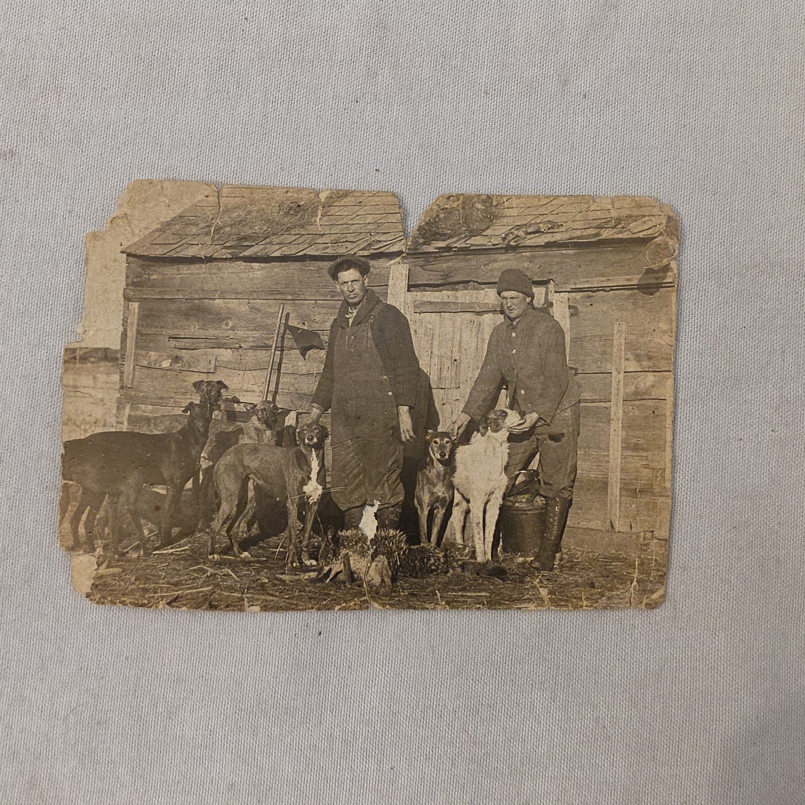 Antique 1922 Men Hunting Dogs Sighthounds Hounds Cabin Real Photo Postcard RPPC