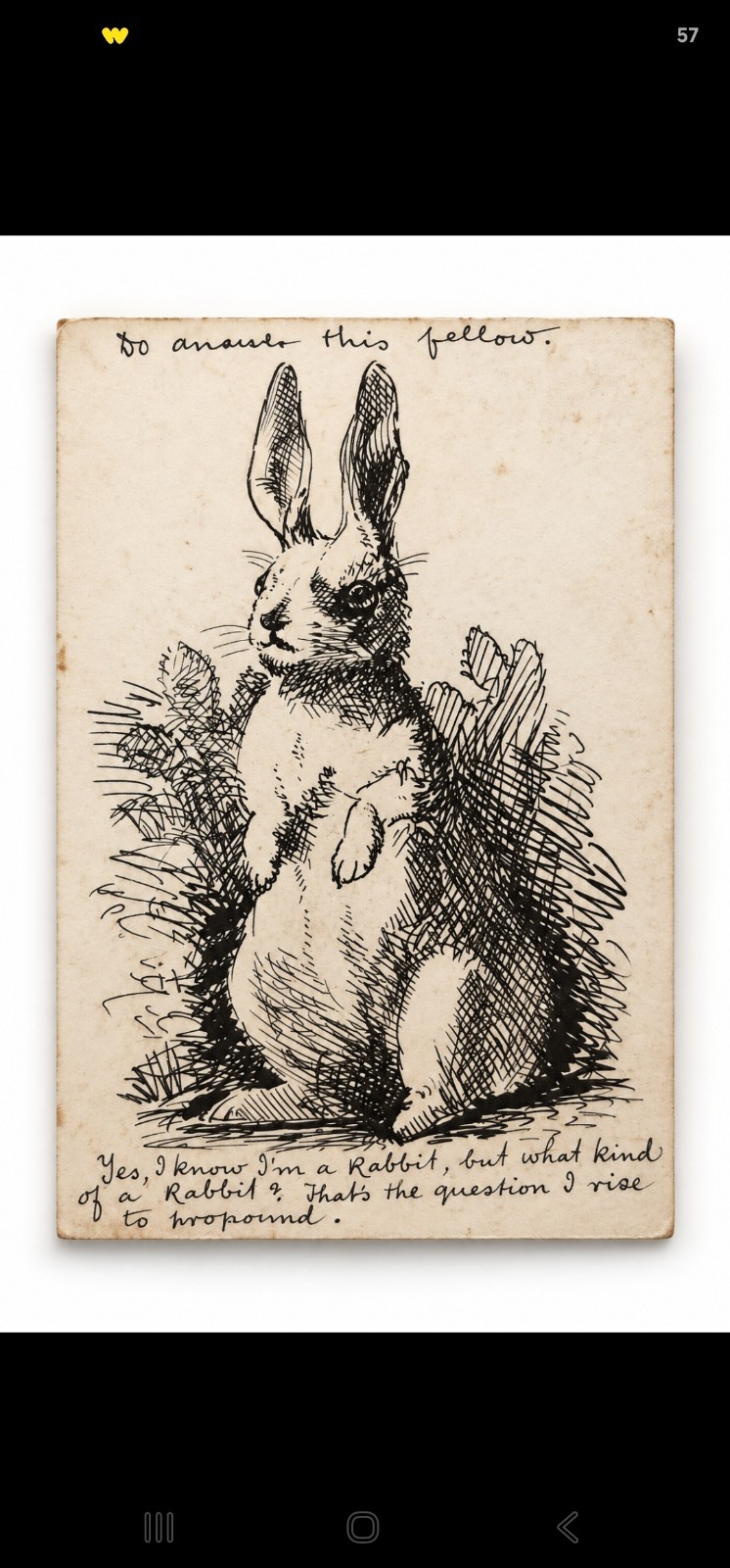 Antique 1911 Rabbit Pen & Ink Drawing Edwardian Humorous Original Art