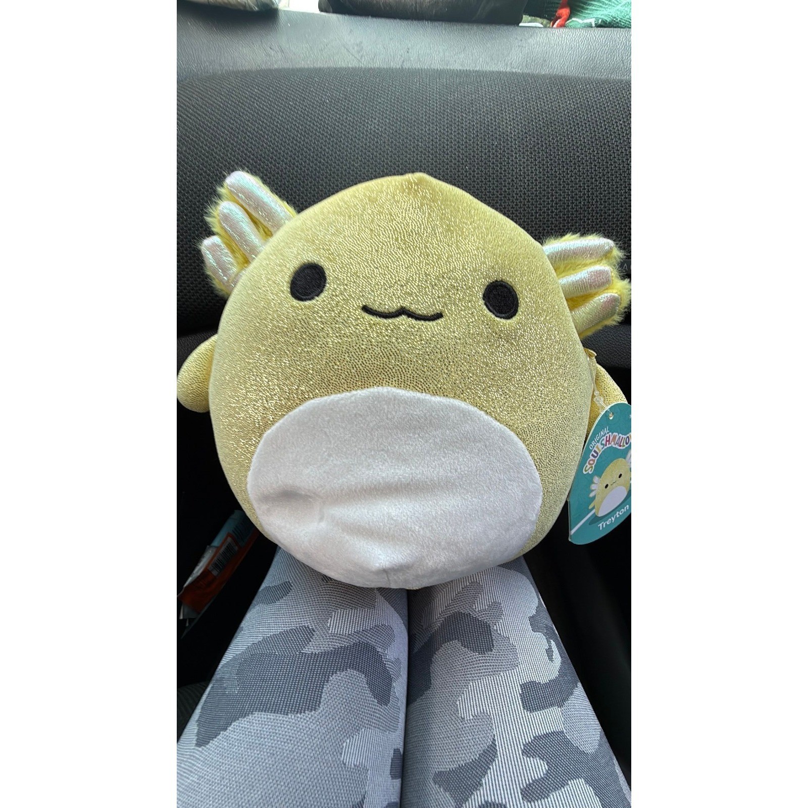 Squishmallow plushie NWT Squishmallow plushie NWT