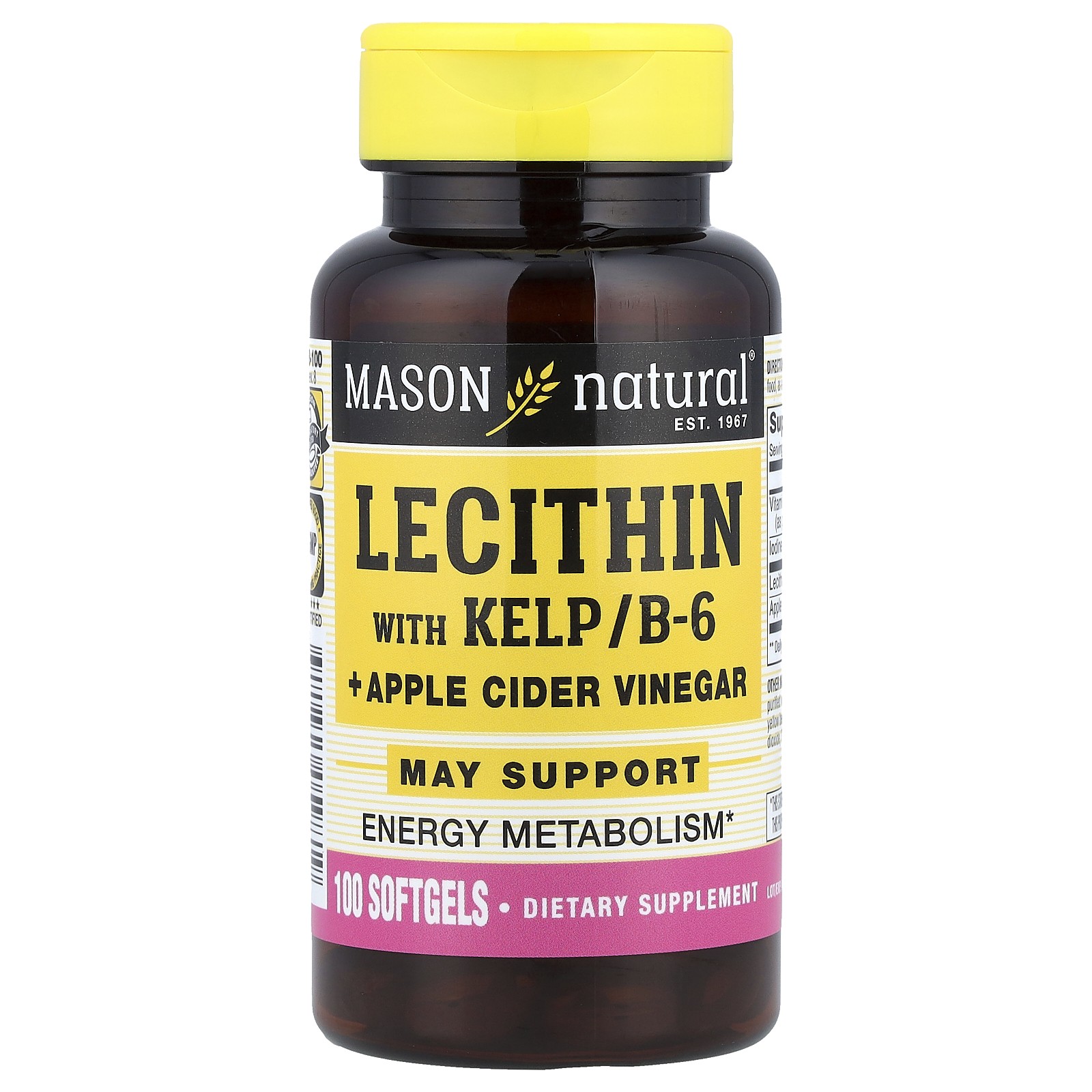 Lecithin with Kelp/B-6 + Apple Cider Vinegar, 100 Softgels