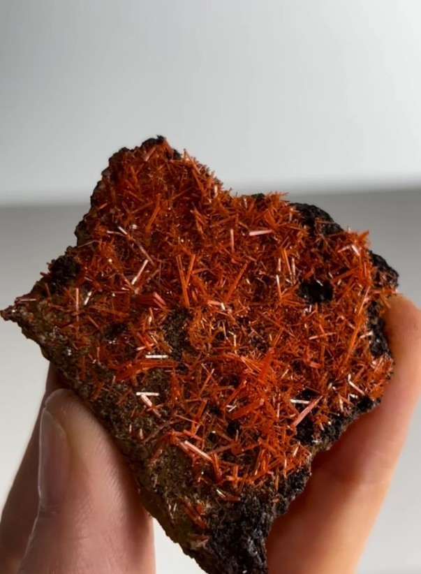 Natural Red Crocoite Crystal Specimen – Adelaide Mine, Dundas, Tasmania, Austral