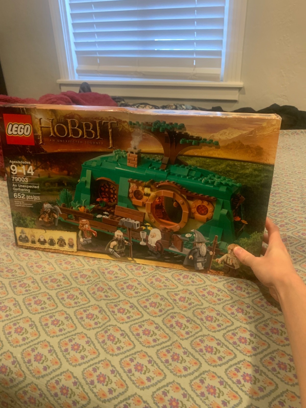 LEGO The Hobbit: An Unexpected Gathering (79003)