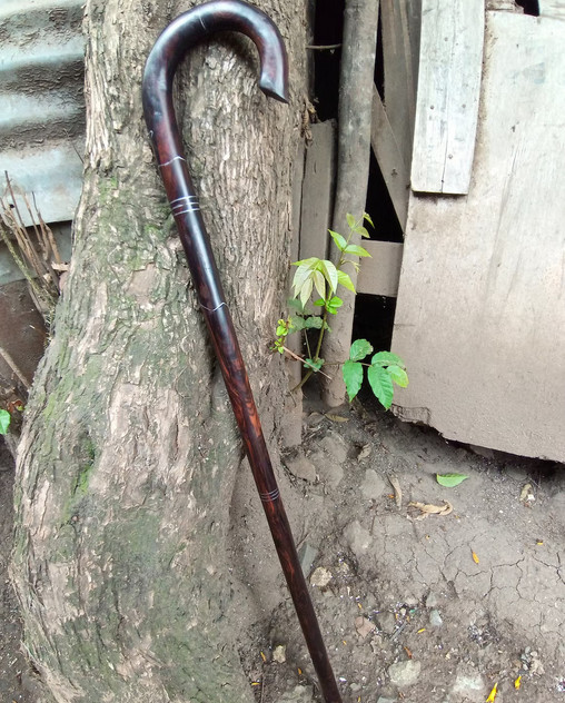 Original African Blackwood & Rosewood Art Walking Stick Cane Handmade Unisex
