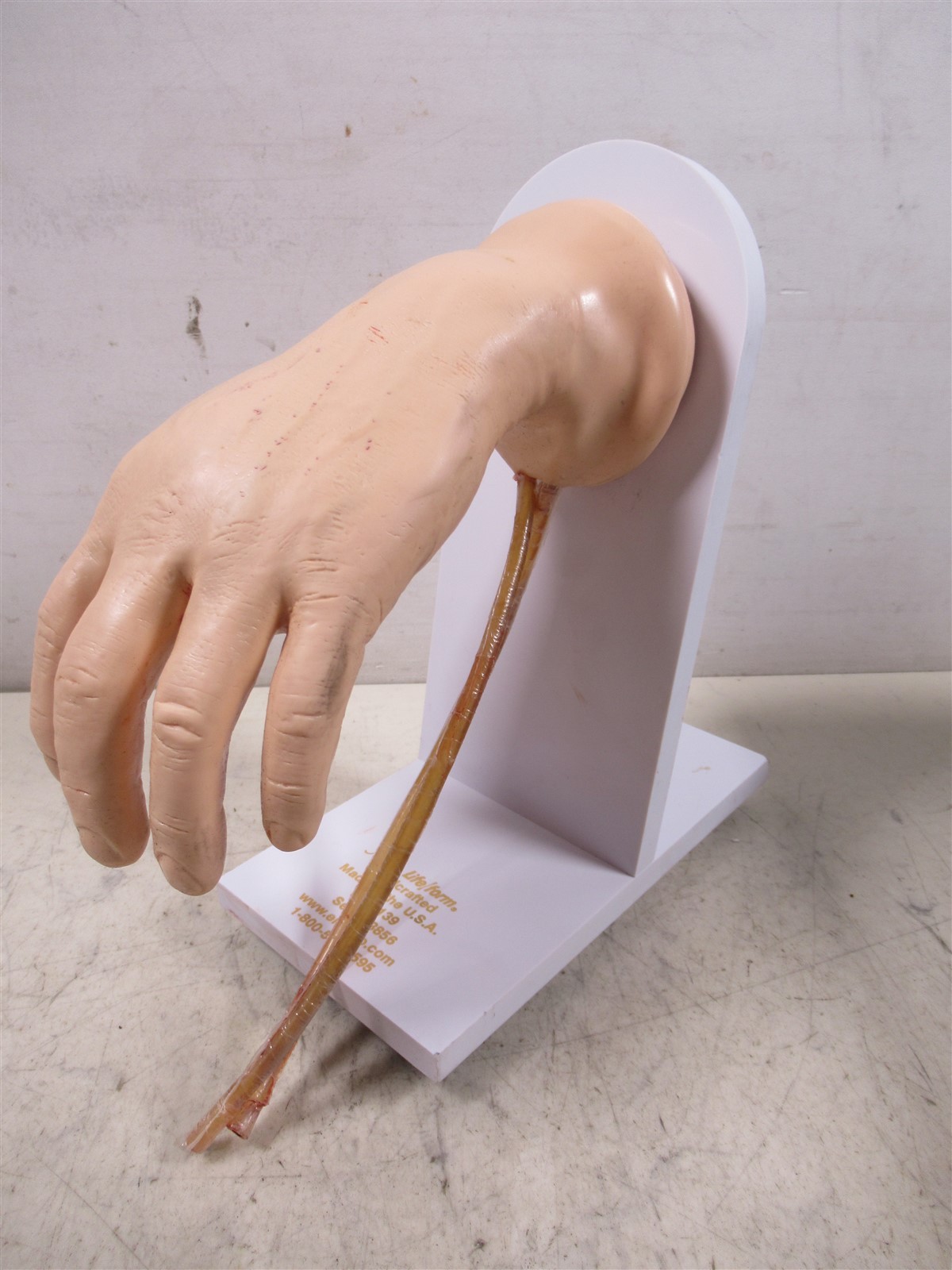 Nasco Life/form Advanced IV Training Hand Mannequin LF01139