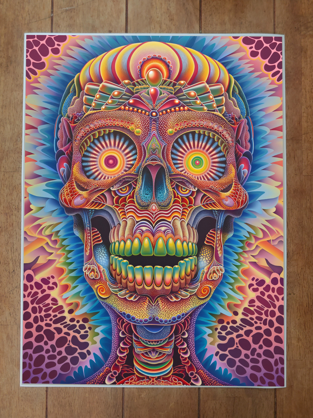 Skull Trippy Psychedelic Artwork Poster 18x24in
