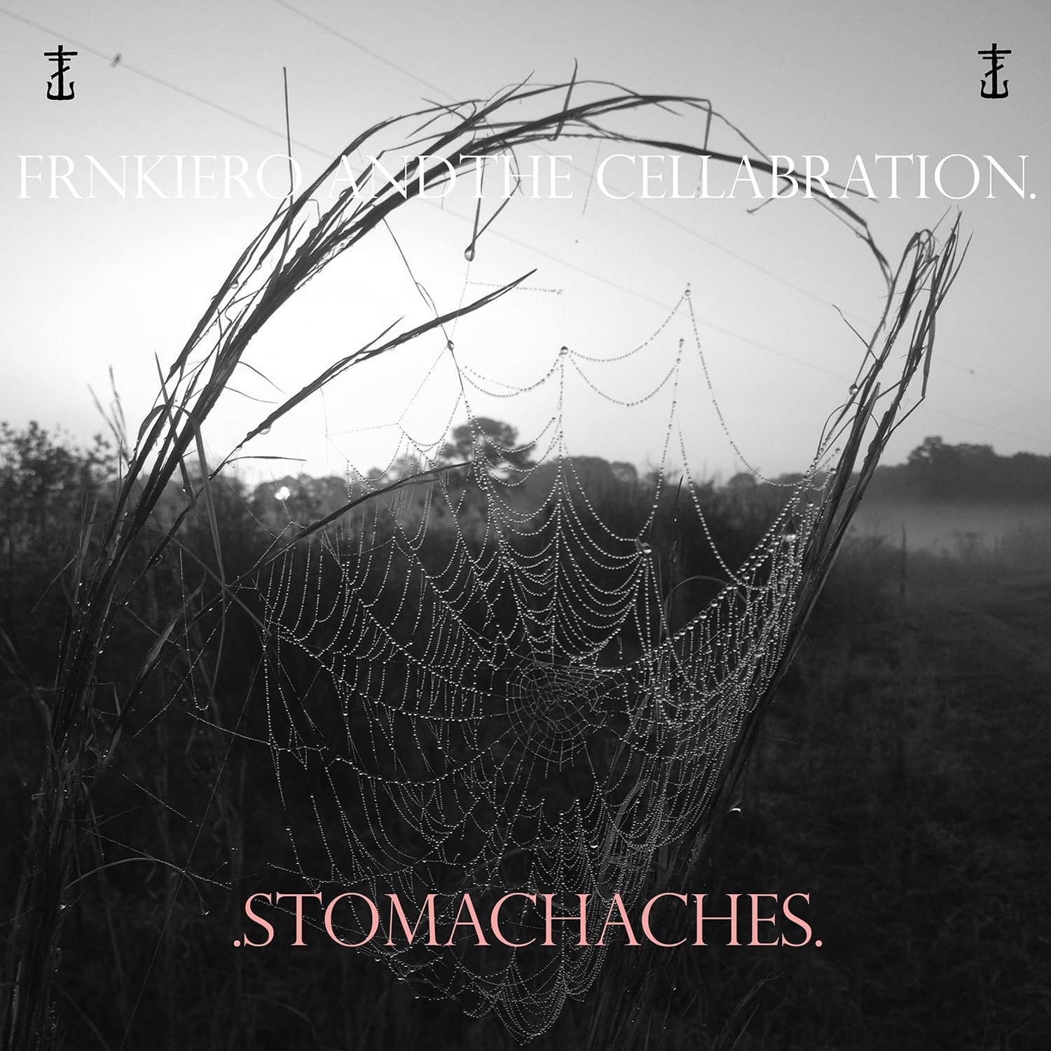 Frank Iero Stomachaches (Vinyl) Frank Iero Stomachaches (Vinyl)