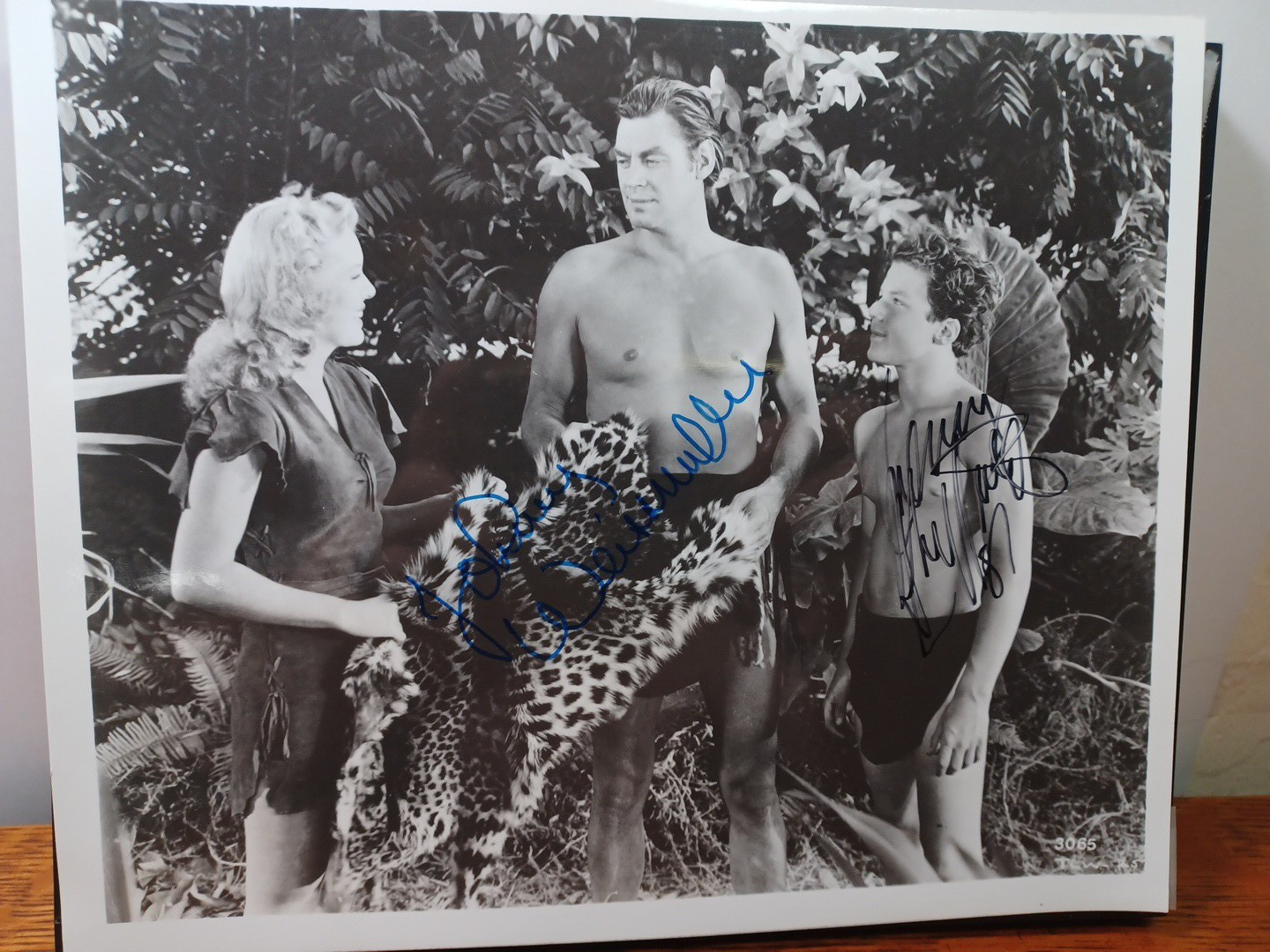 1946 Signed Tarzan Photo 8 x 10 Johnny Wiessmuller & Johnny Sheffield RRP 17 1946 Signed Tarzan Photo 8 x 10 Johnny Wiessmuller & Johnny Sheffield RRP 17