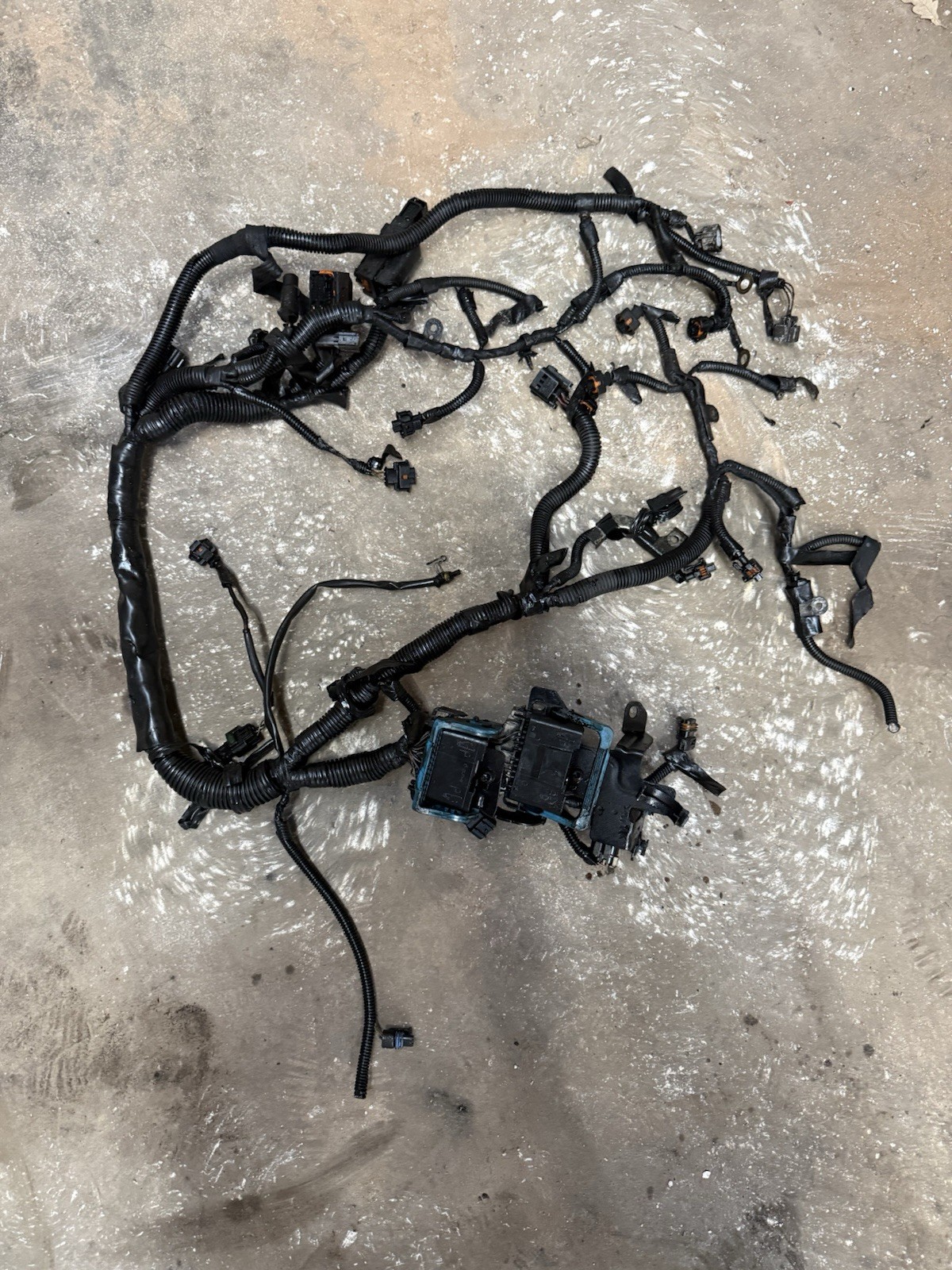 04 05 Chevrolet GMC DURAMAX LLY 6.6 Engine Injector FICM Upper Wiring Harness 04 05 Chevrolet GMC DURAMAX LLY 6.6 Engine Injector FICM Upper Wiring Harness