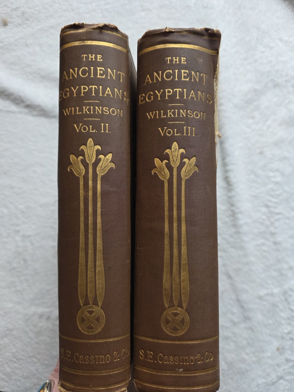 The Manners And Customs Of The Ancient Egyptians/ Wilkinson/ 1883