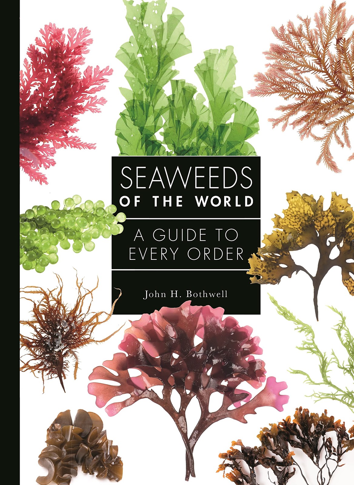 Seaweeds of the World: A Guide to Every Order (A Guide to Every Family) Seaweeds of the World: A Guide to Every Order (A Guide to Every Family)