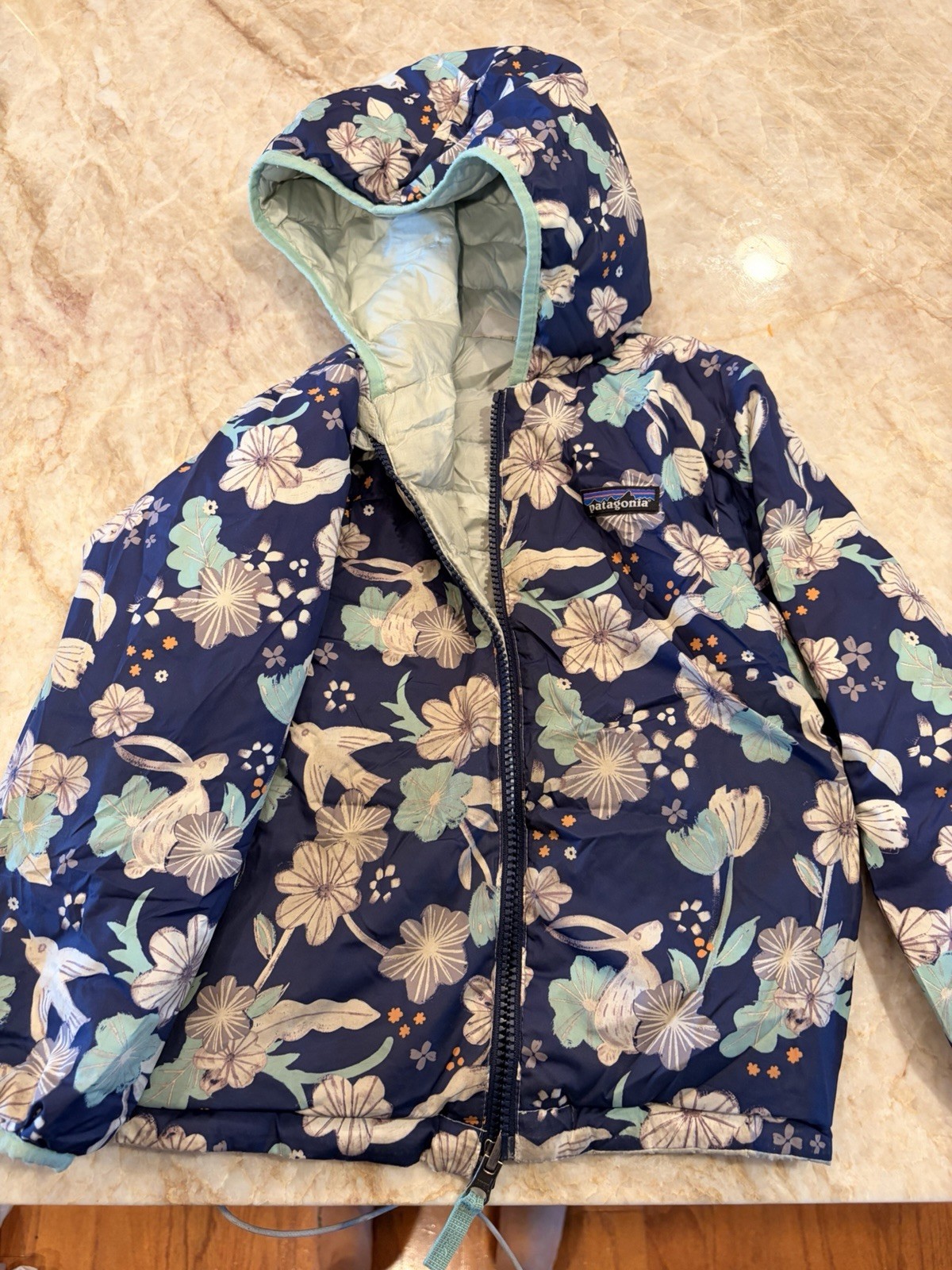 Toddler Girl Patagonia Jacket