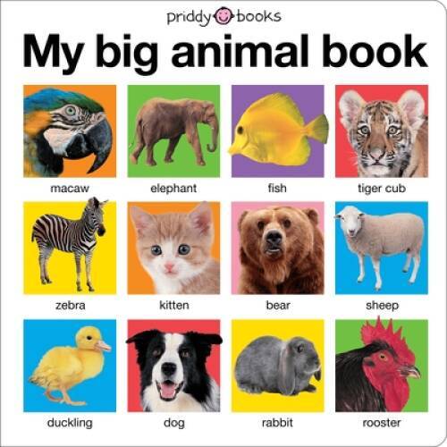 My Big Animal Book (My Big Board Books) - Board book - VERY GOOD