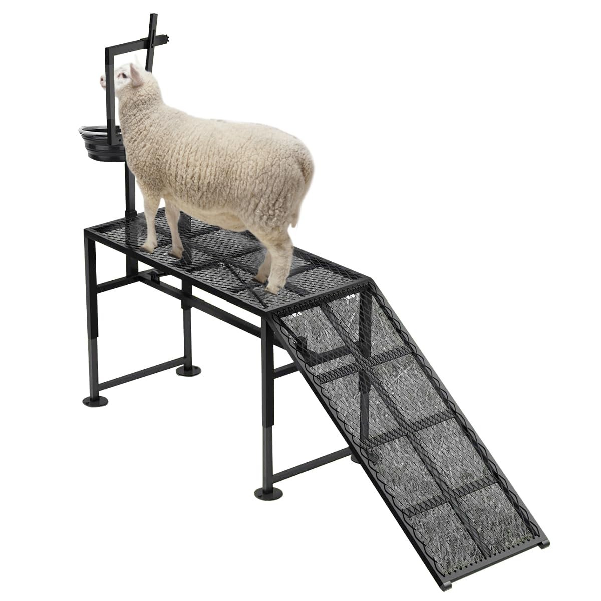 Professional Goat Milking Stand with Ramp, 600LBS Heavy Duty Foldable Livestock