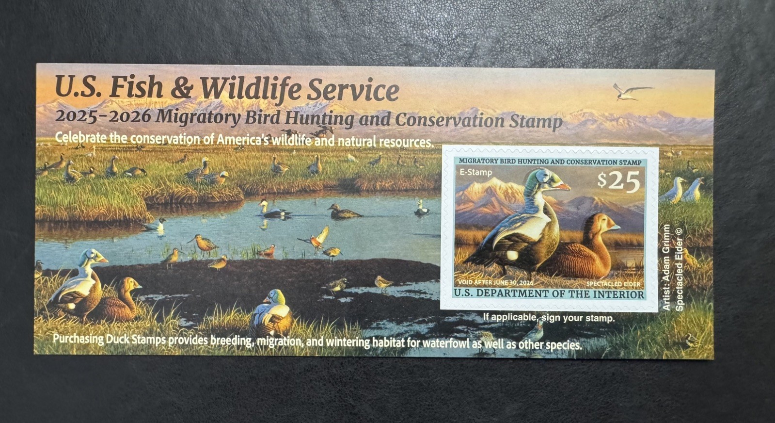 Scarce RW92B 2025-26 Federal Migratory Bird Hunting Stamp. MNHOG. Well Centered.