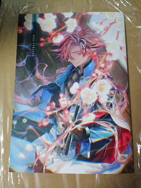 C108 doujinshi fgo fate/grand order NA2-FEB2026 A5 NA2 z1