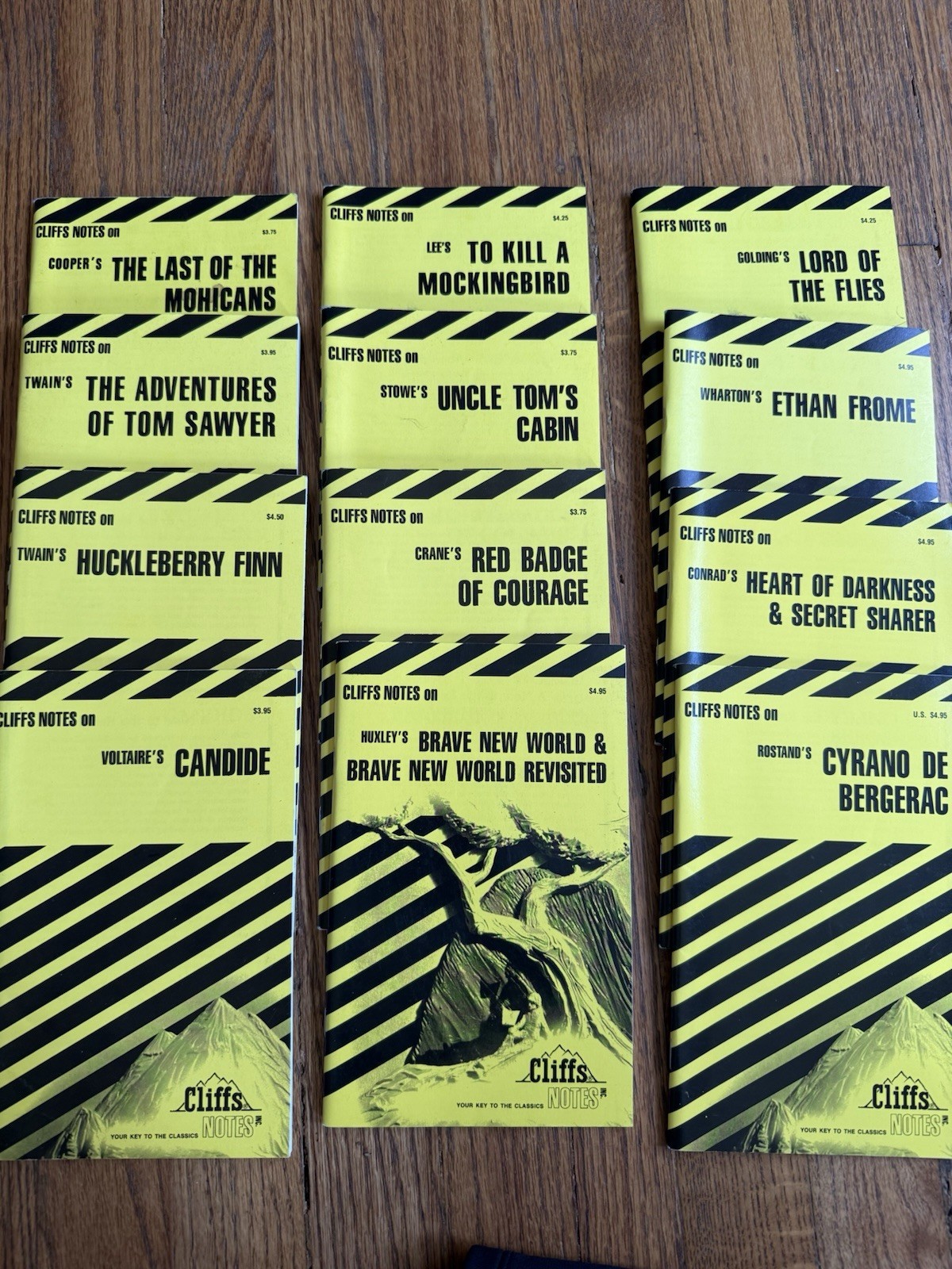 Lot of 11 Vintage Cliffs Notes Classic Lit Study Guides Mockingbird Lord Flies
