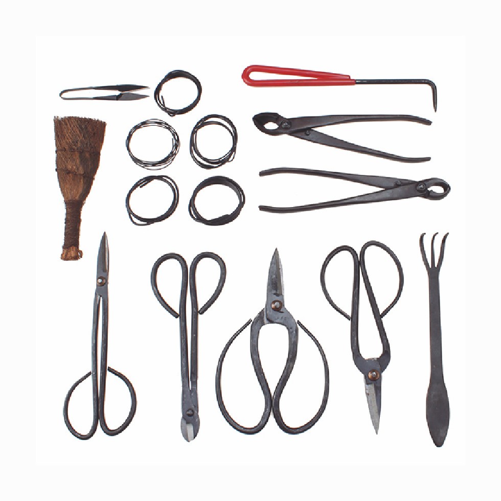 Garden Bonsai Tool 10Pcs Carbon Steel with Cutter spatula Roll Wires nylon case