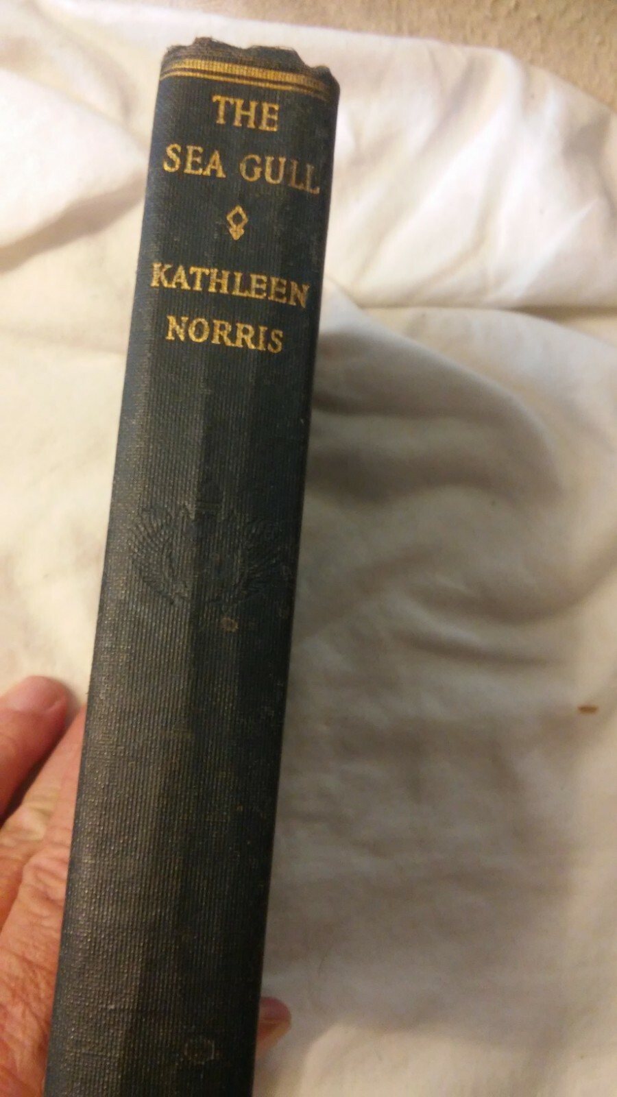 The Sea Gull by Kathleen Norris Palo Alto edition copyright 1927 The Sea Gull by Kathleen Norris Palo Alto edition copyright 1927