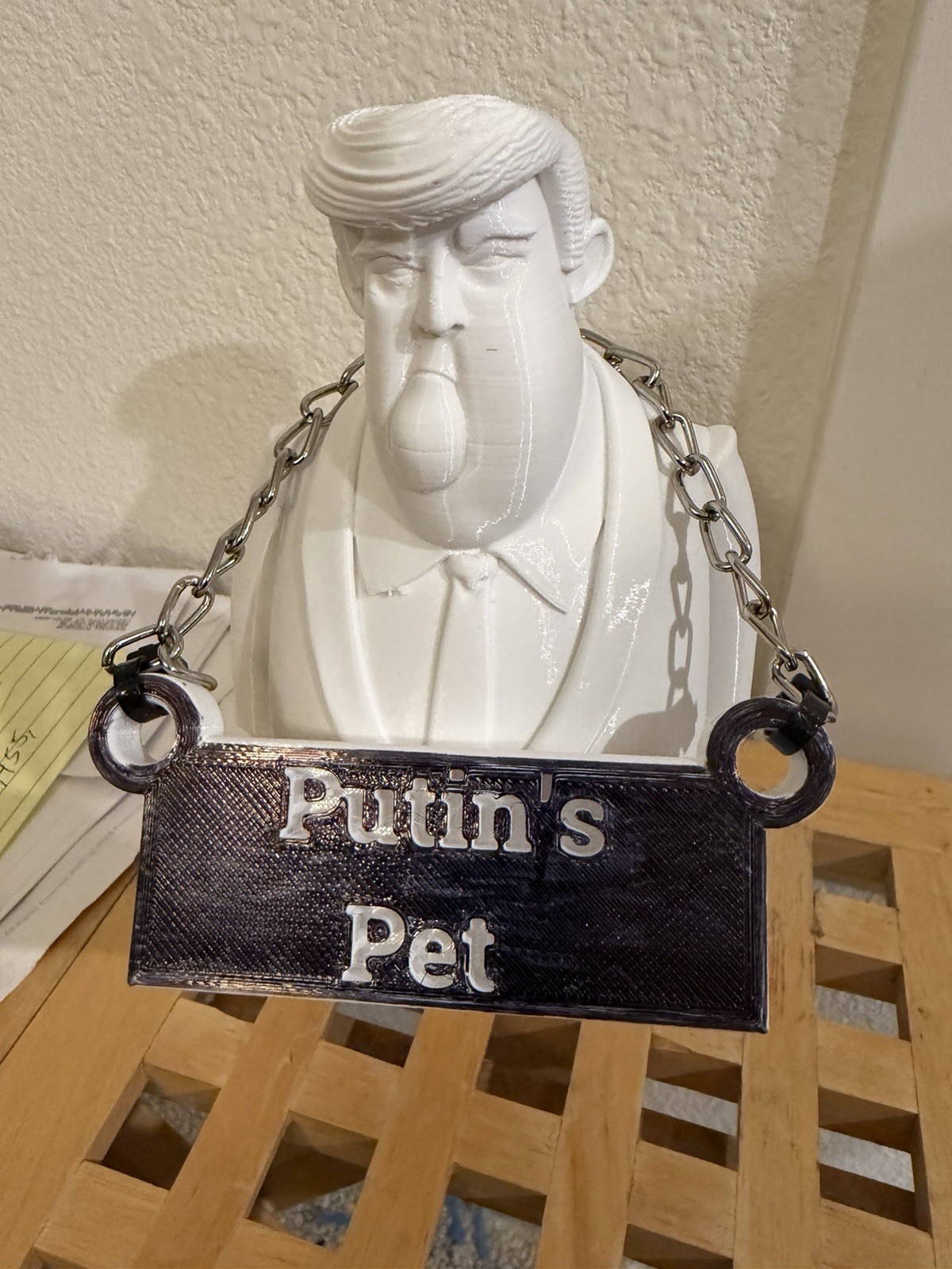 Your Stupid President