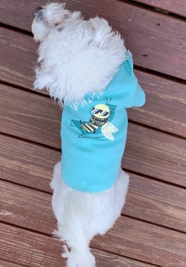 Dog New Adorable T Shirt “Bee Chill” fits 11 to 15 lbs Bichon Or Poodle Or