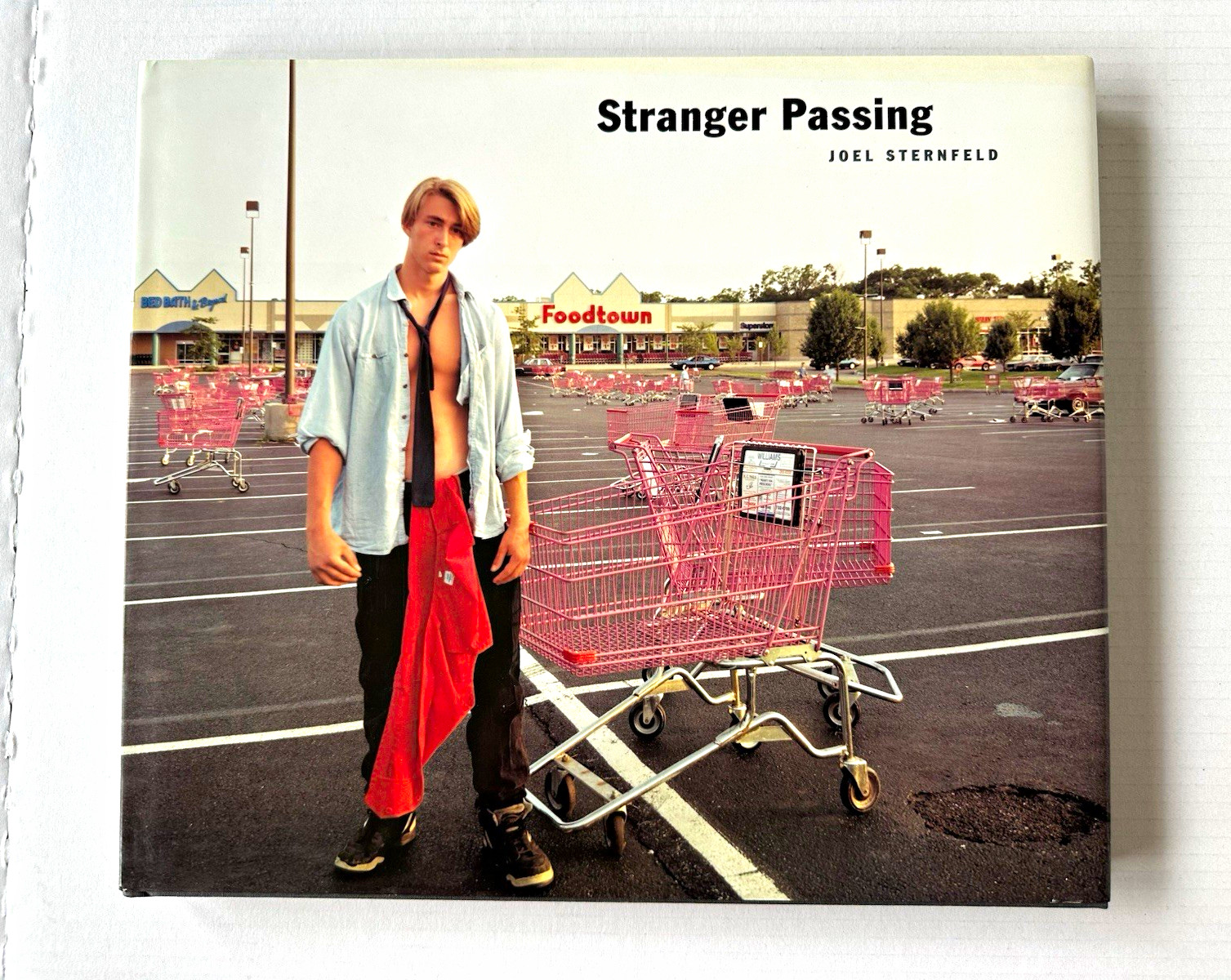 Joel Sternfeld Stranger Passing First Edition 2001 Photography Hardcover SFMOMA