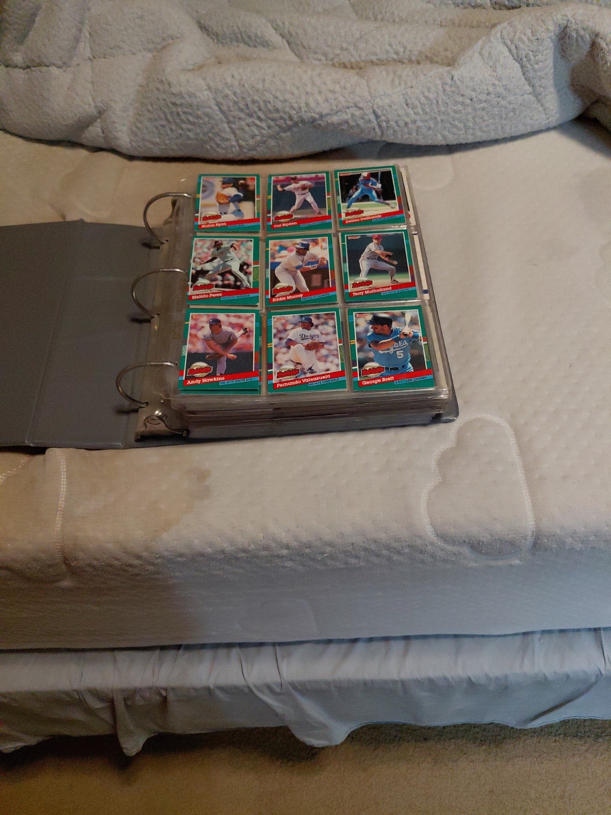 sports card lot huge