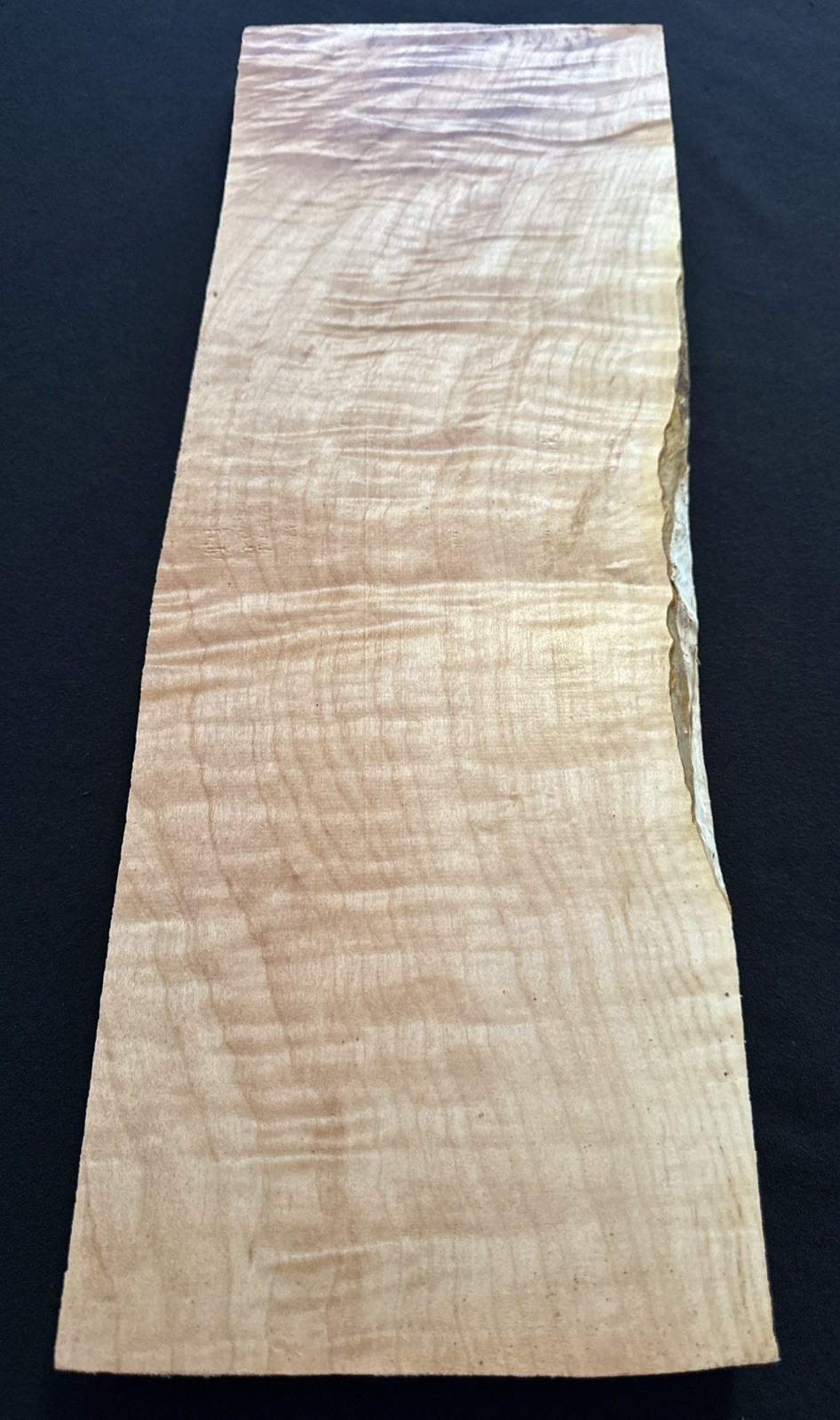 Curly Maple, Live Edge, 20 3/4” Long, 7” Wide, 1 5/16” Thick, Dry
