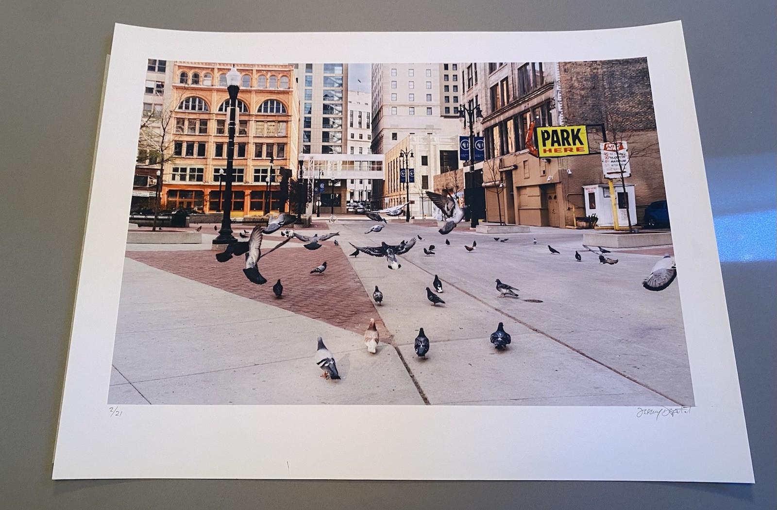 Jeremy Deputat Pigeons Art Print Photo Signed Numbered X/21 Rare Sold Out Jeremy Deputat Pigeons Art Print Photo Signed Numbered X/21 Rare Sold Out
