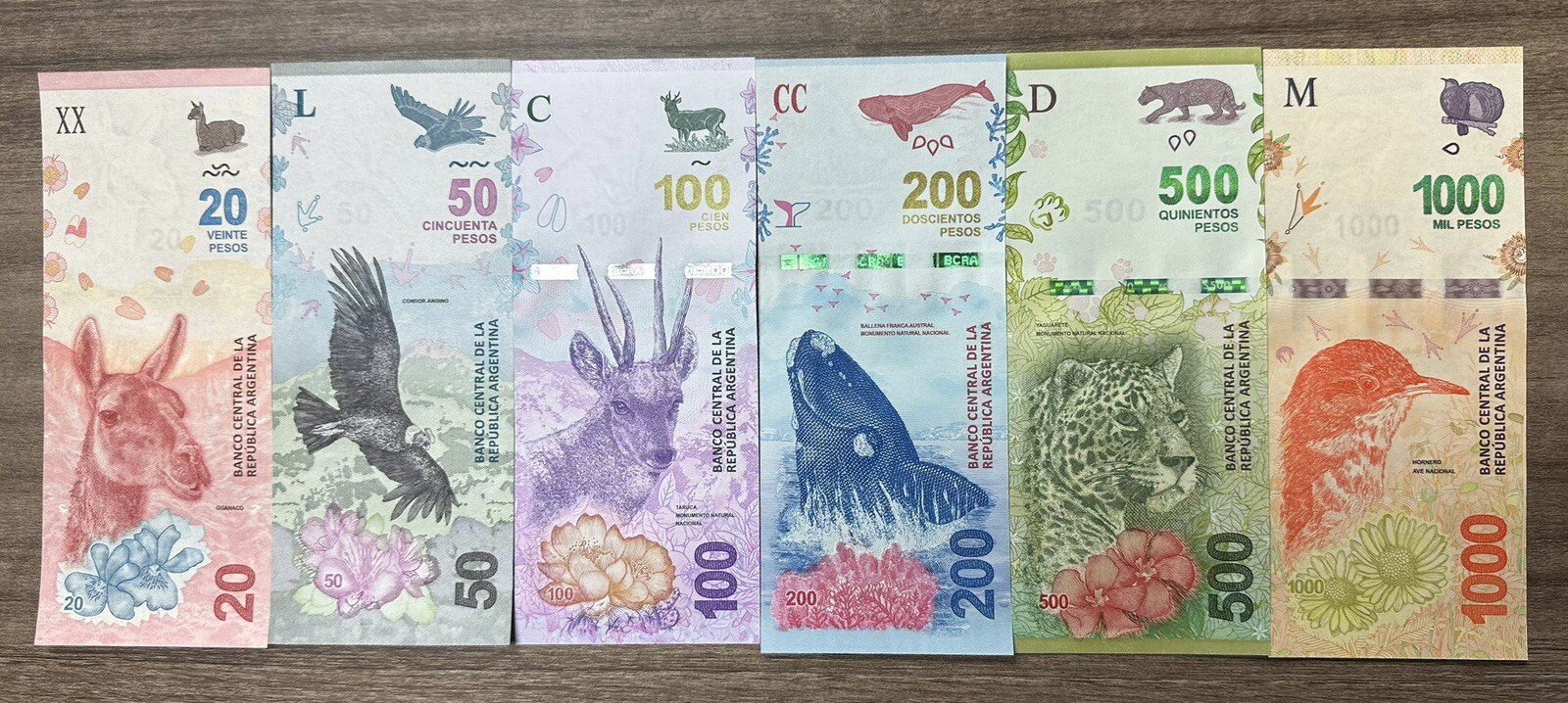 Argentina 20 50 100 200 500 1000 Pesos 6 Pcs SET NEW, 2016-2019 Banknote UNC