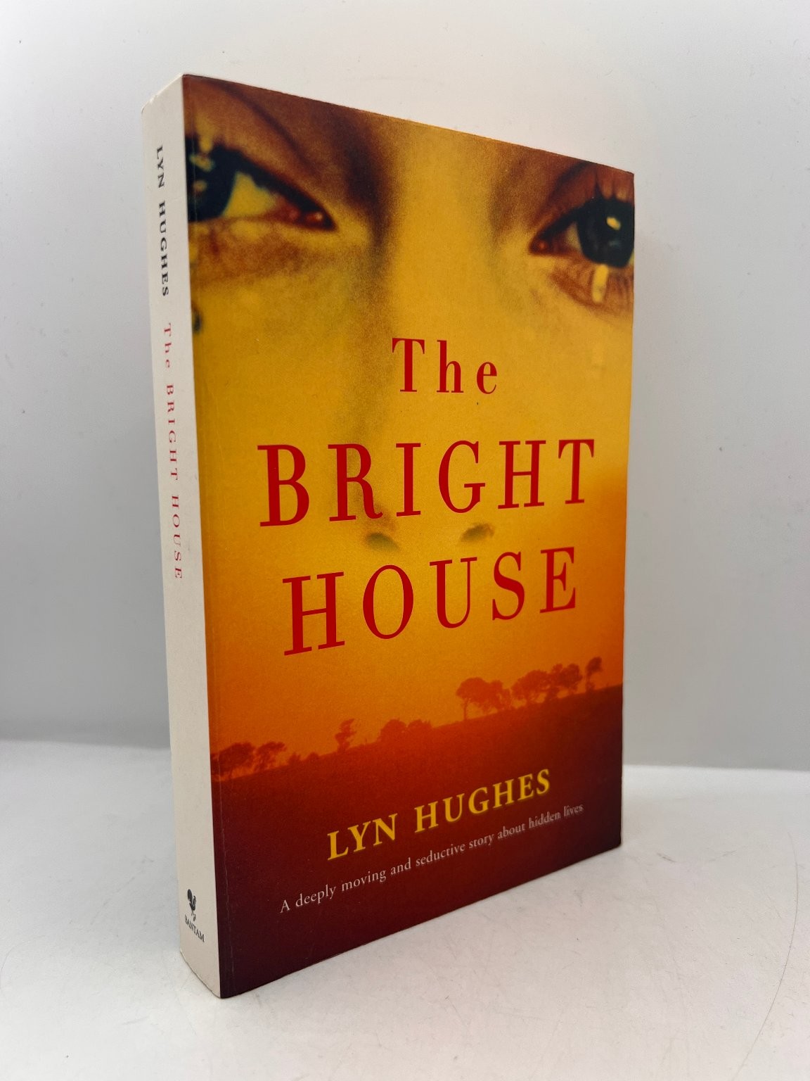 Lyn Hughes The Bright House Book Fiction Bantam 2000 Australia