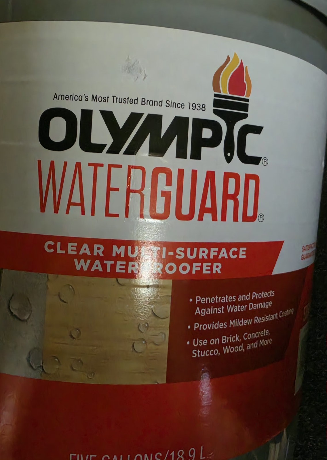 Olympic Waterguard Clear Multi-Surface Waterproofer  5 Gal