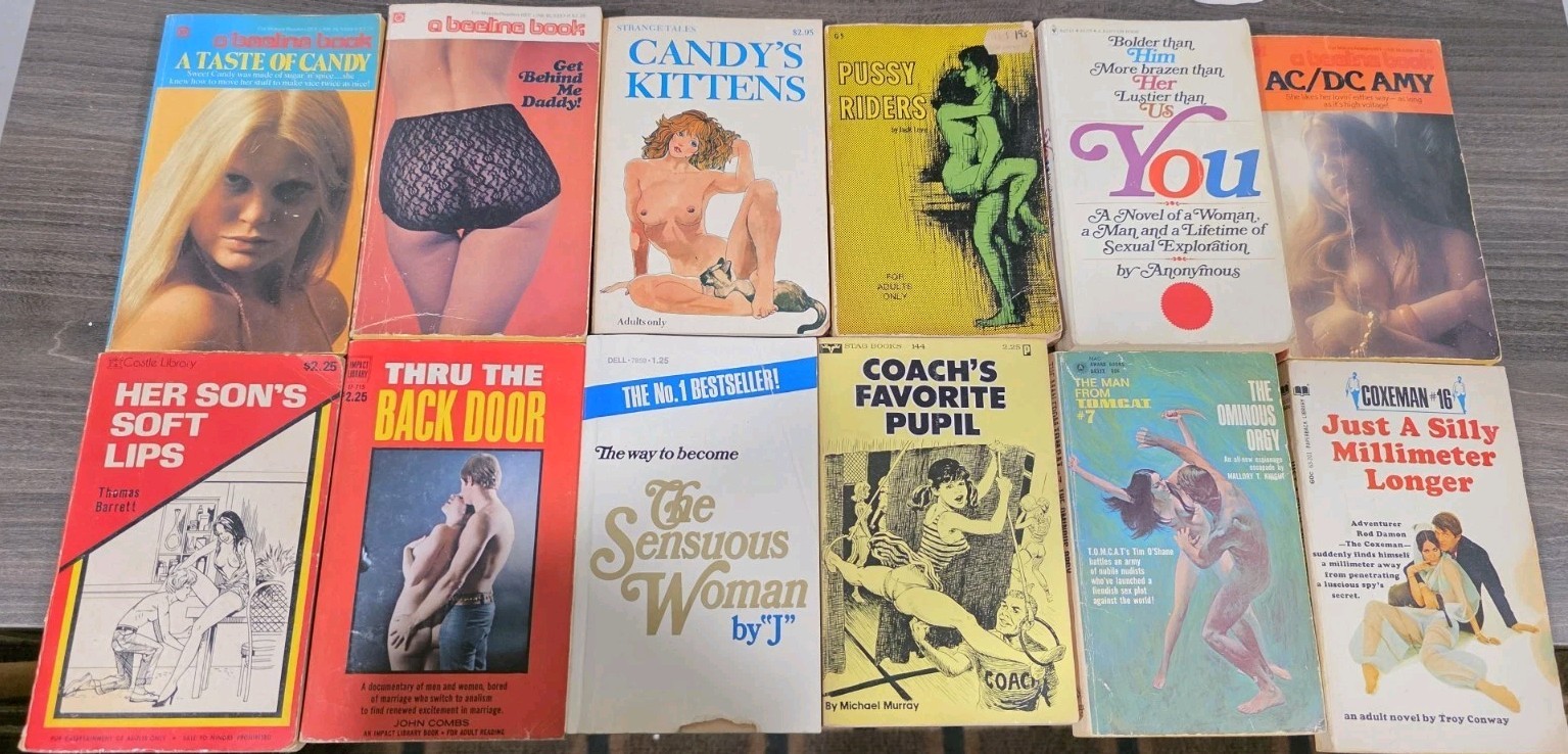 Lot of 30 Vintage Adult Sleaze Pulp Paperback Books 1960s 70s 