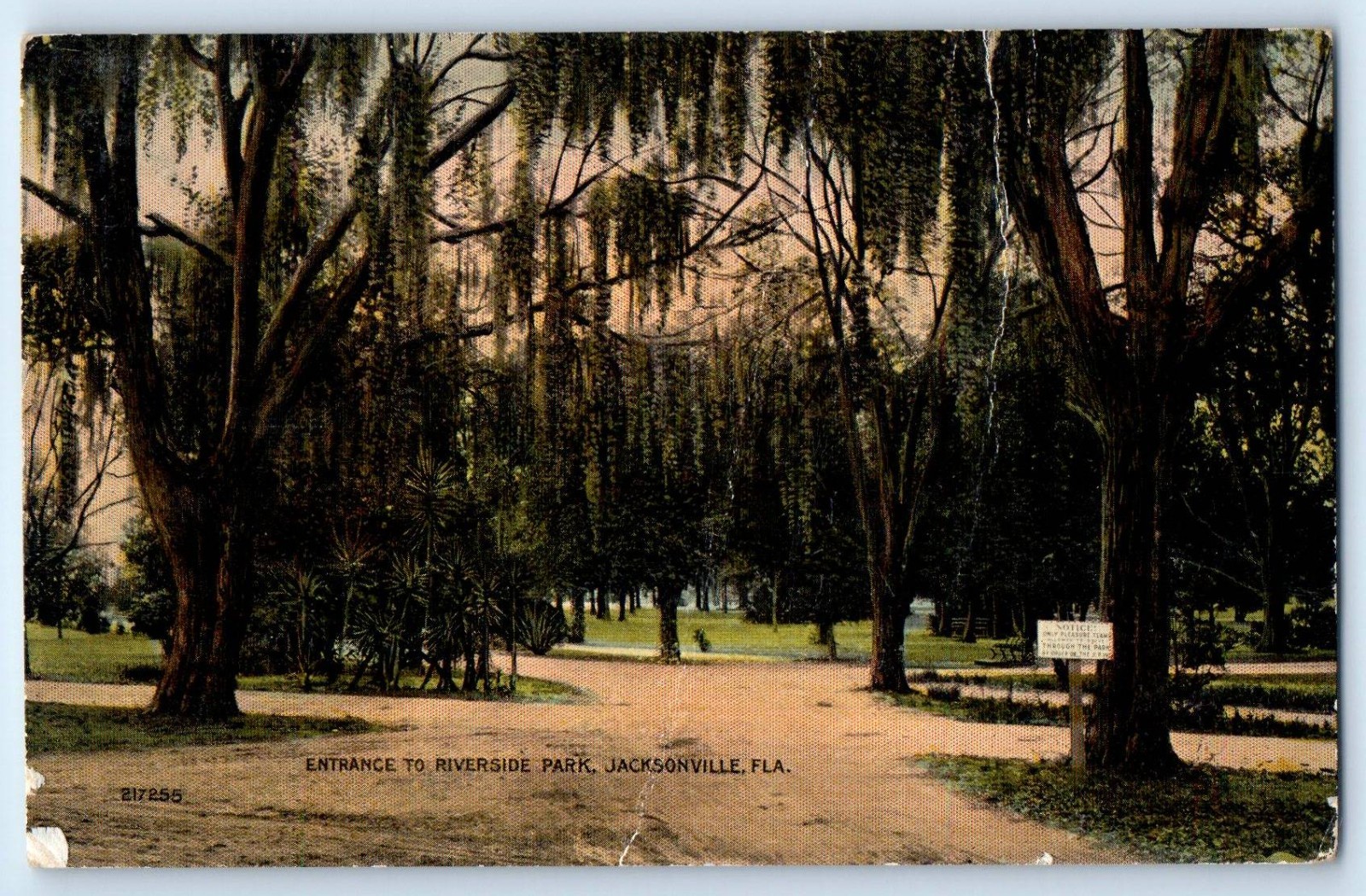 1910 Jacksonville Florida FL Vintage Postcard Entrance Riverside Park Unposted 1910 Jacksonville Florida FL Vintage Postcard Entrance Riverside Park Unposted