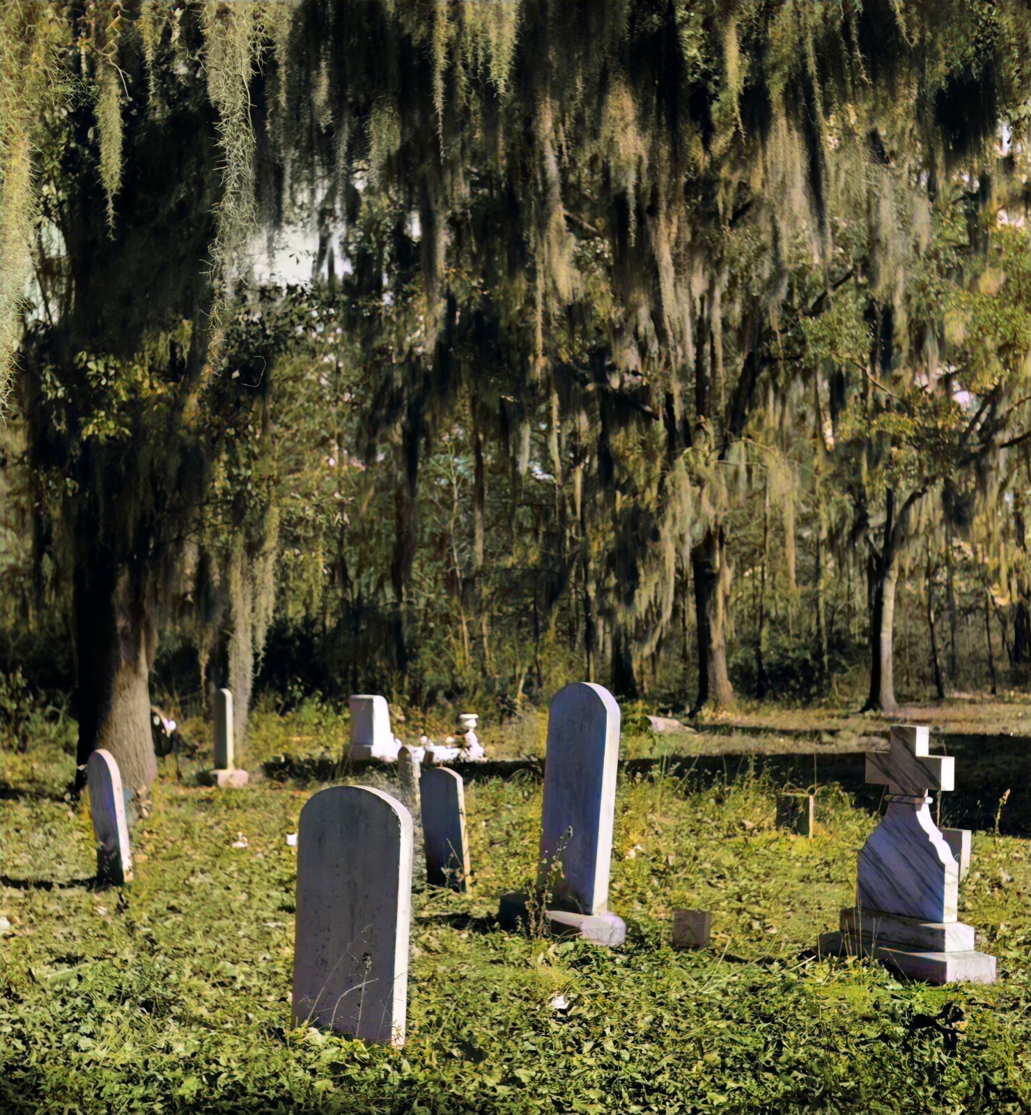 1938 Church graveyard near Summerville, South Carolina. 14 x 11\