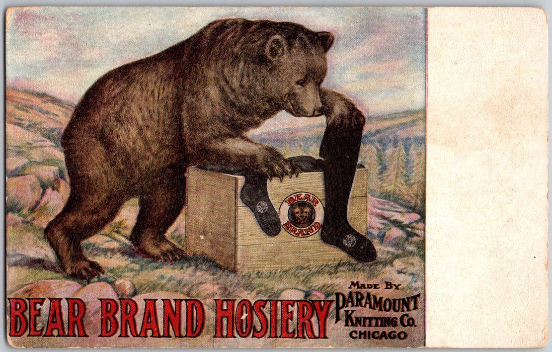 Antique ca. 1907 Postcard Bear Brand Hosiery Advertising Card Teddy Unposted 2