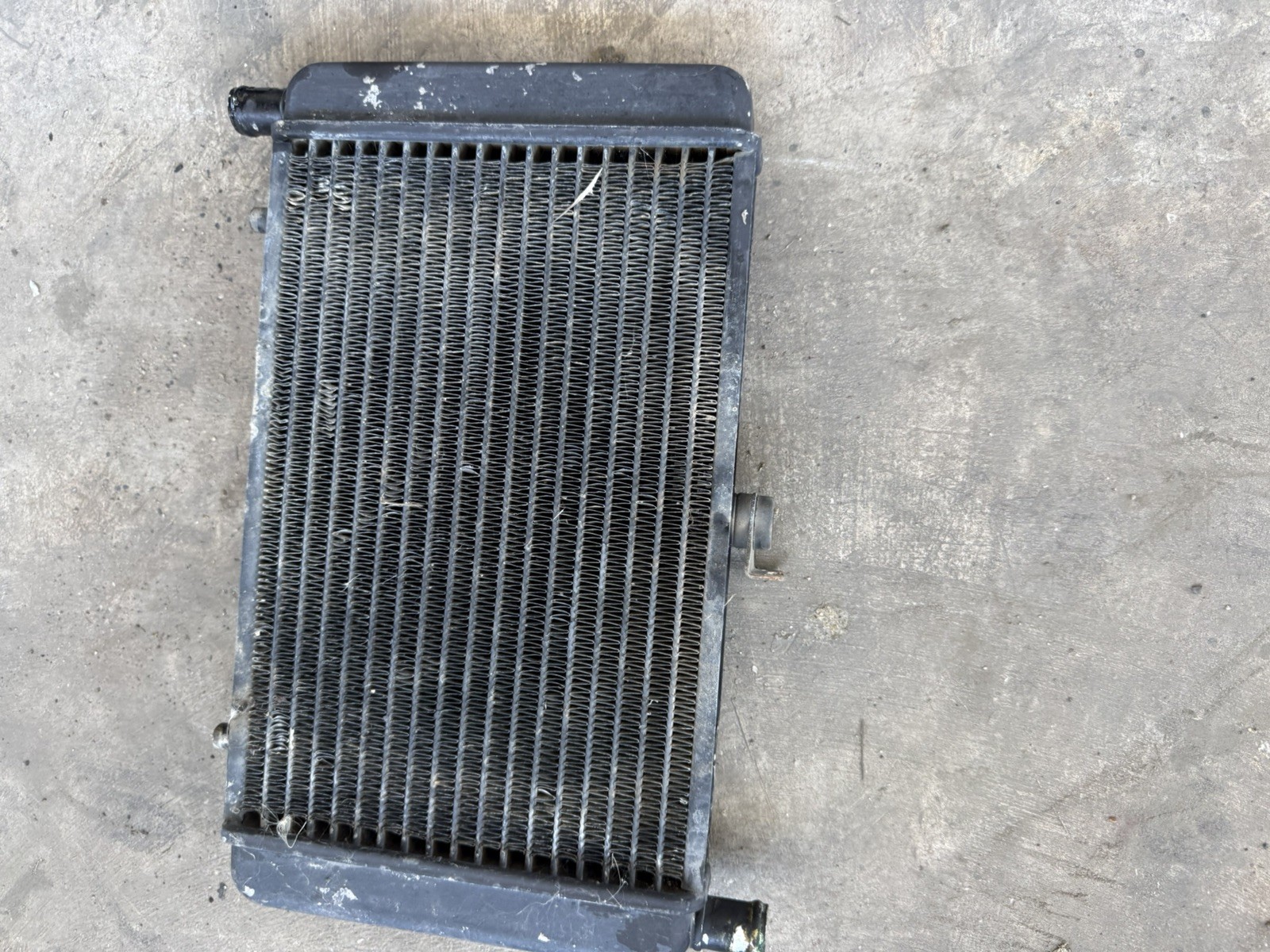 Cagiva Arrow C 12 Radiator Cagiva Arrow C 12 Radiator