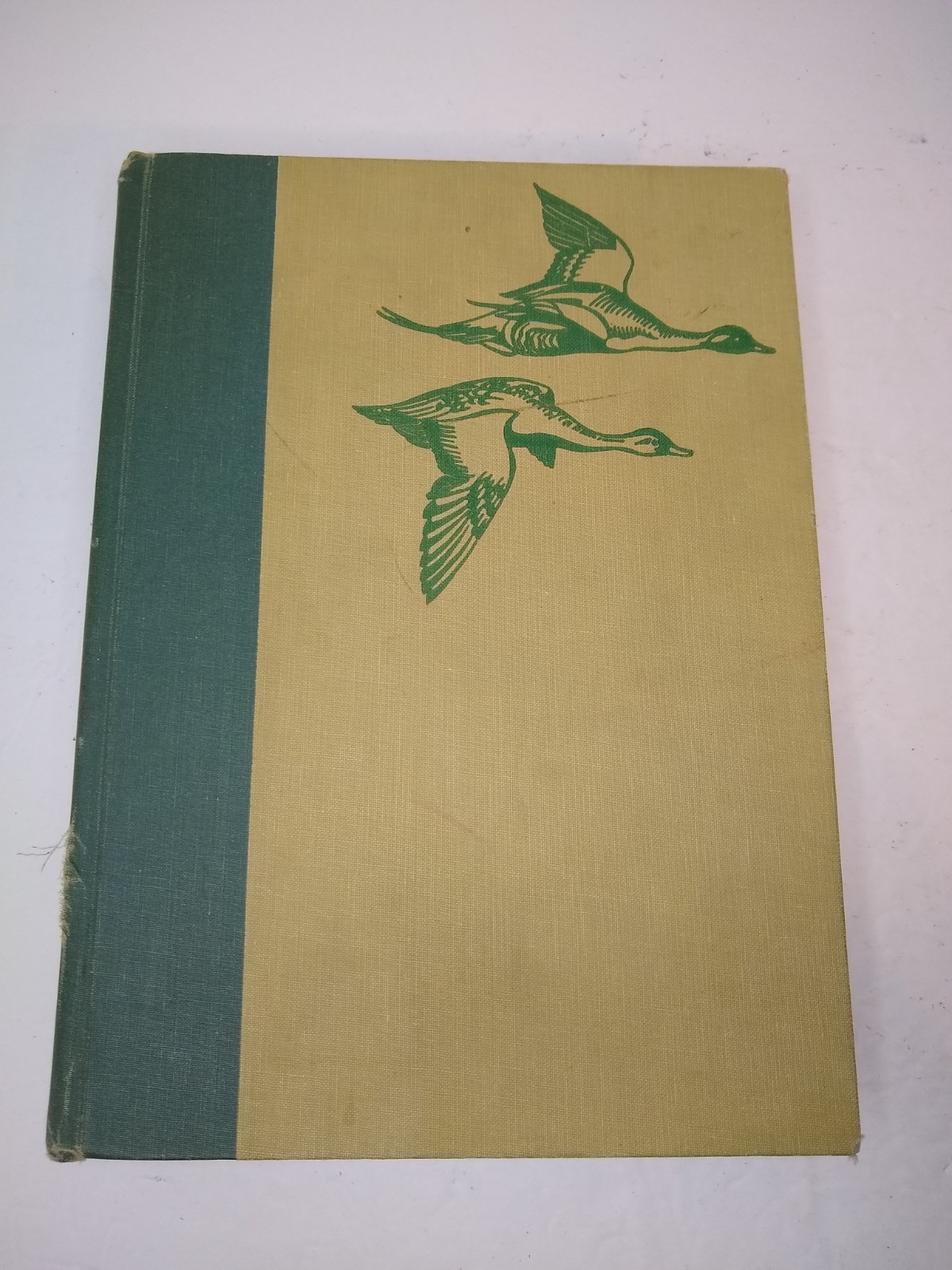 Birds of America 1917, 1936 Antique with Full Color Illustrations Hardcover