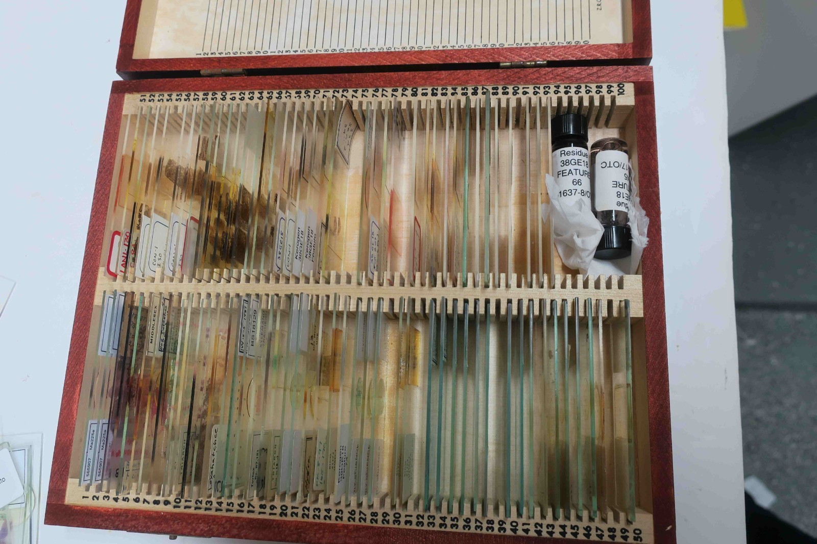 Microscope slides, Mixed geological, biological, etc.