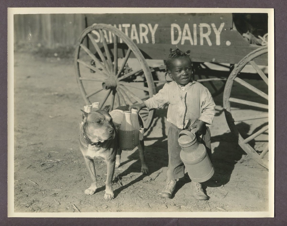ALLEN FARINA HOSKINS Black Child Actor Our Gang 1924 Photo It\'s A Bear Young