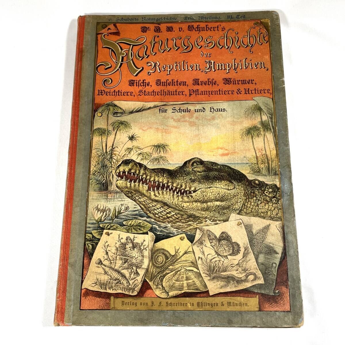 1886 Natural History by Dr. G.H. v. Schubert, 1st Amphibians, Fish, Insects
