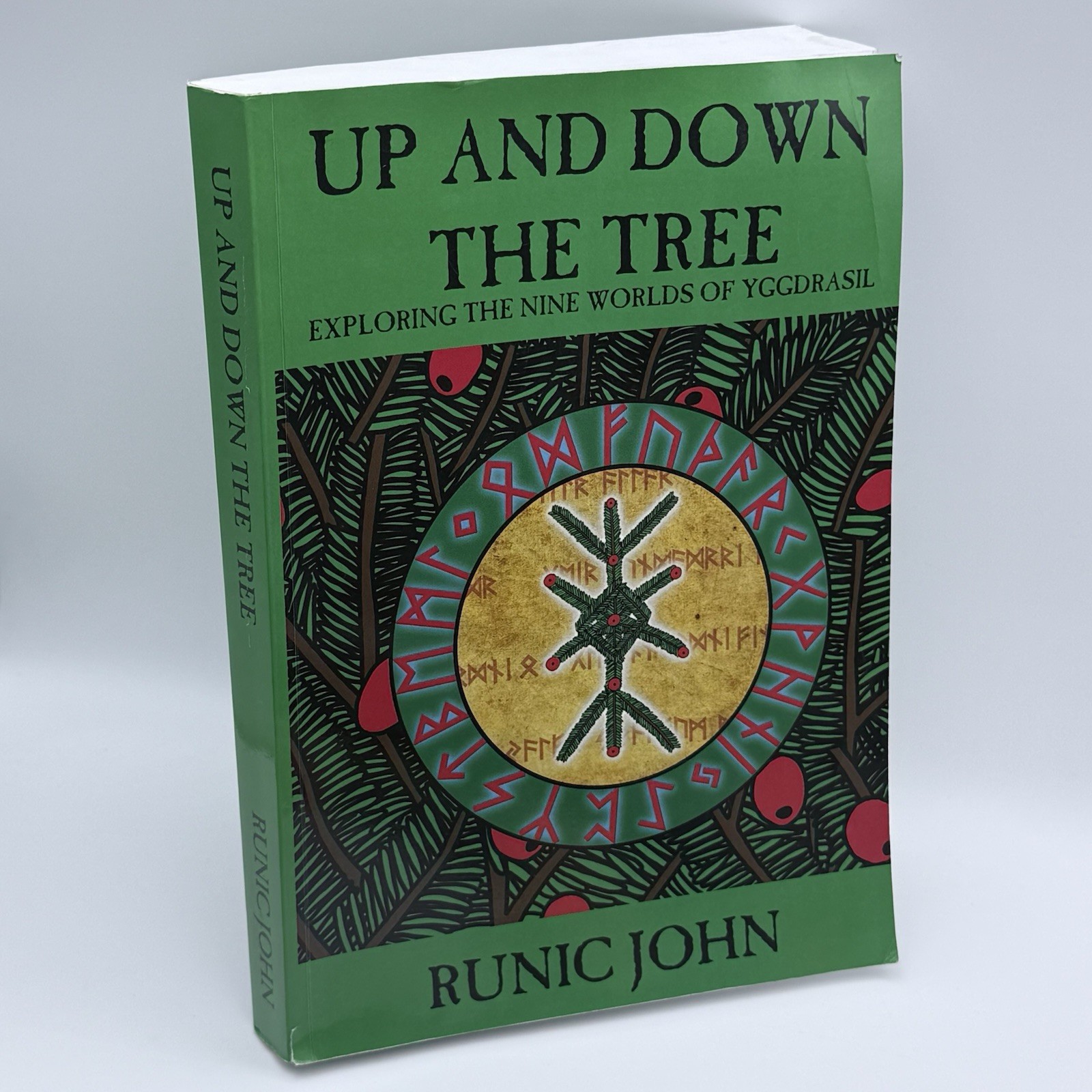 Up and Down the Tree Exploring Nine Worlds of Yggdrasil Runic John PB 2020 Up and Down the Tree Exploring Nine Worlds of Yggdrasil Runic John PB 2020