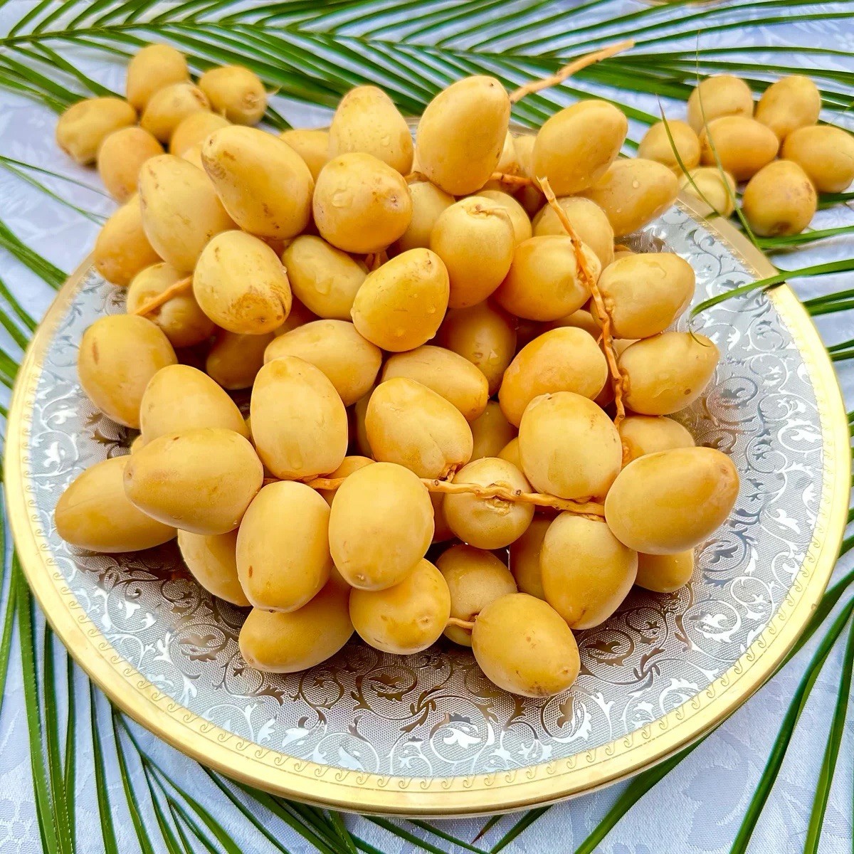 7 LBS FRESH YELLOW BARHI DATES 7 LBS FRESH YELLOW BARHI DATES