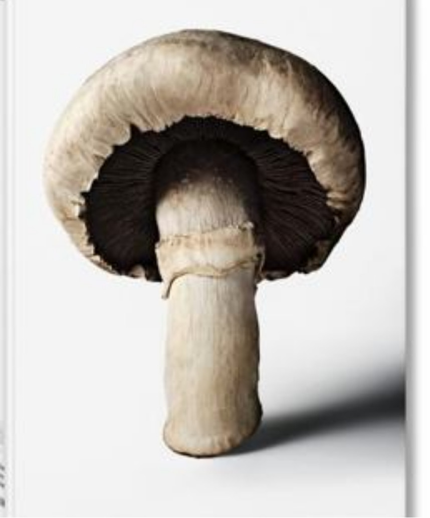 The Gourmand\'s Mushroom. a Collection of Stories and Recipes