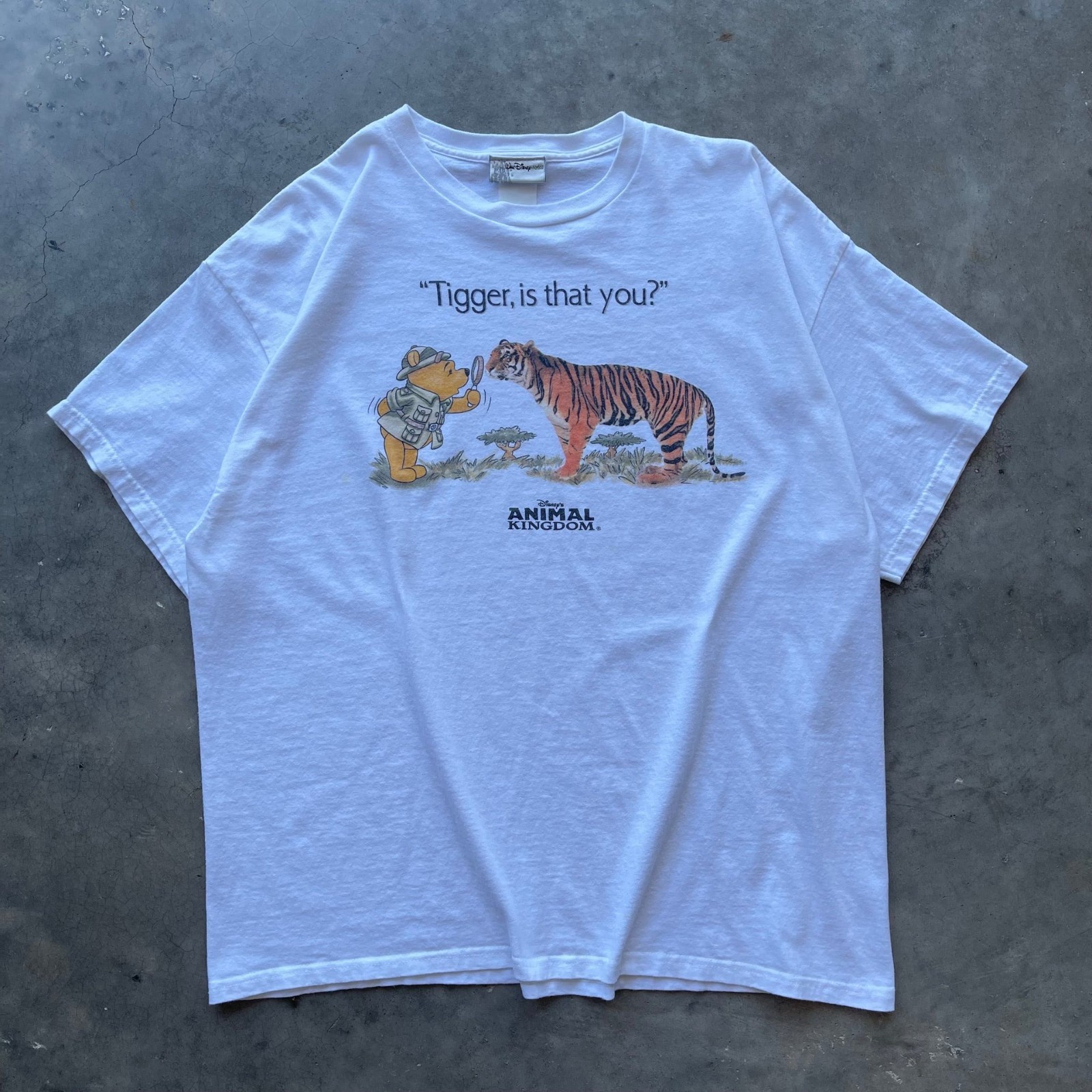 Retro 90s WINNIE THE P00H \'\'Tigger Is That You?\