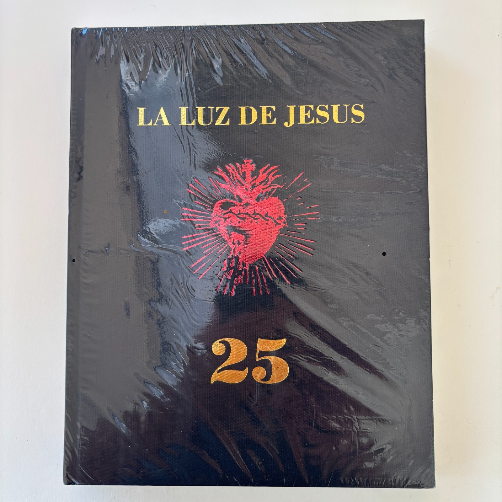 Luz de Jesus 25 - The Little Gallery That Could by Billy Shire 2011 Hardcover Luz de Jesus 25 - The Little Gallery That Could by Billy Shire 2011 Hardcover