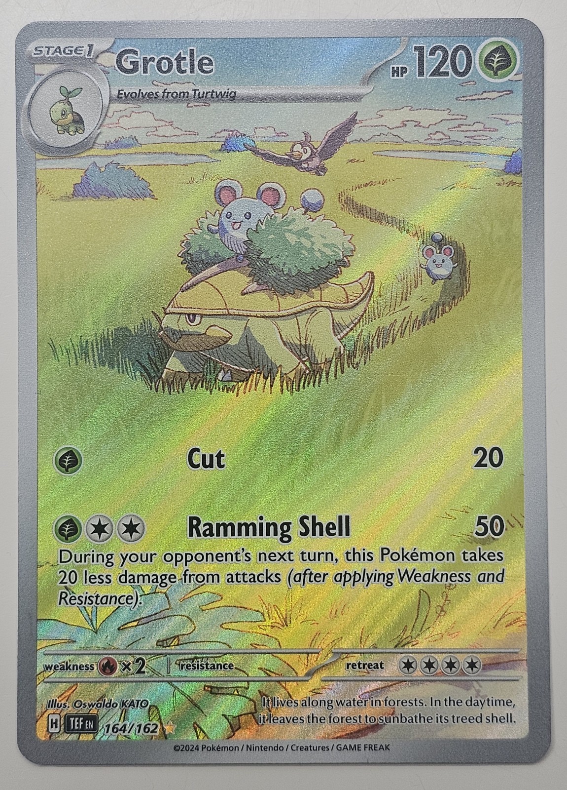 Pokemon TCG Grotle 164/162 Sv05 Temporal Forces IR Illustration Rare Holo Eng Pokemon TCG Grotle 164/162 Sv05 Temporal Forces IR Illustration Rare Holo Eng