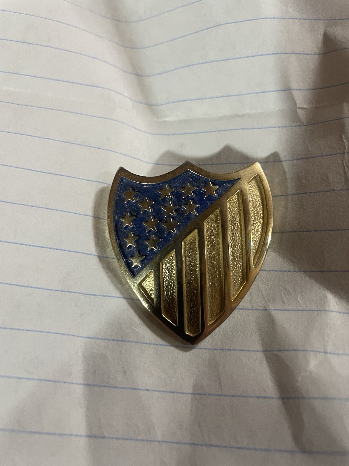 Vintage DAR Shield Pin Vintage DAR Shield Pin