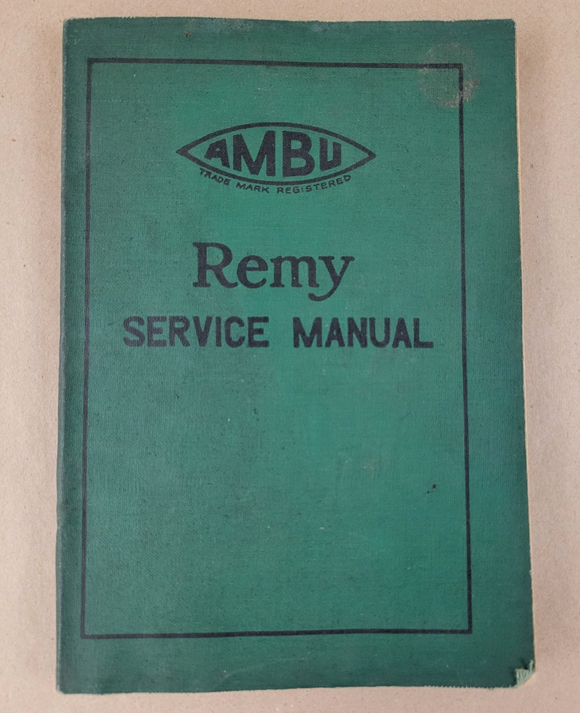 AMBU Remy Service Manual - Charts & Wiring Diagrams Booklets 1920