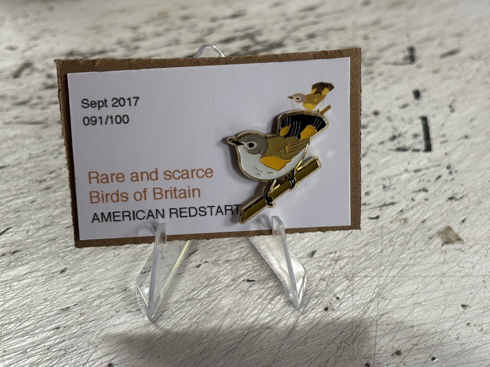 RSPB Interest AMERICAN REDSTART SGW enamel BIRD pin badge last few remaining 