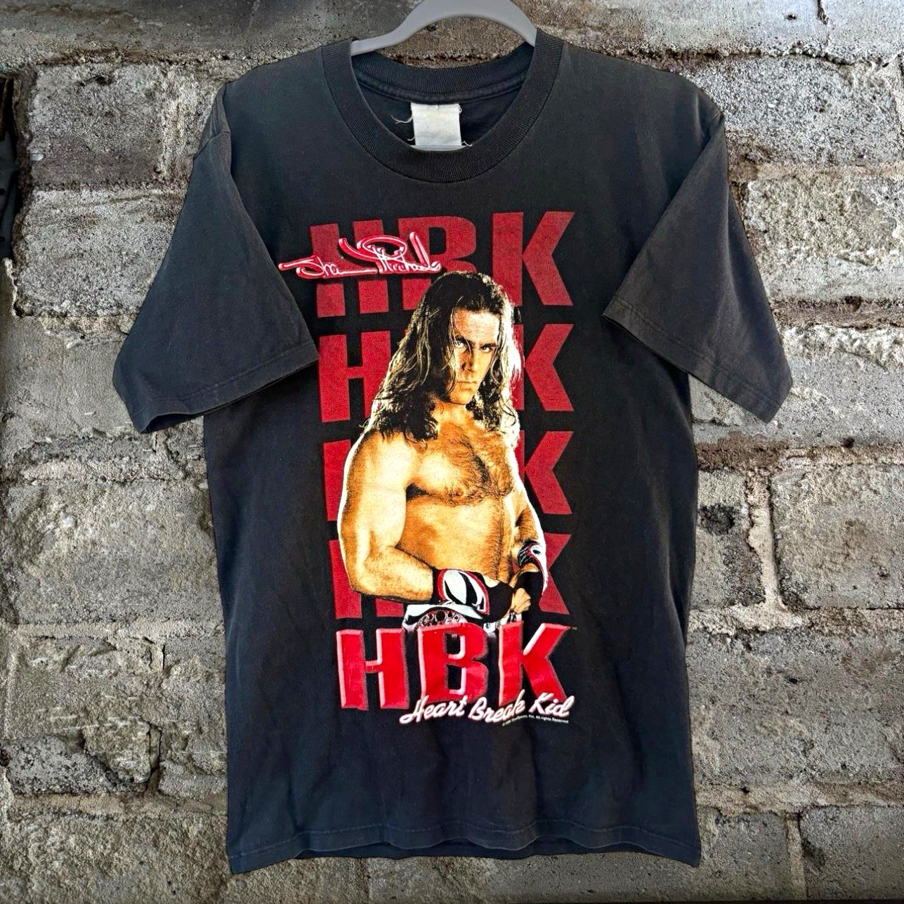 Vintage 1996 WWF HBK Shawn Micheals Graphic Tee Vintage 1996 WWF HBK Shawn Micheals Graphic Tee